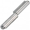 Cerniera Perno Fisso 2 Ali Inox Combi Arialdo 109IX.100