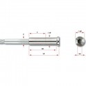 Bullone Testa Bombata con Filetto Interno 30869-0600-02